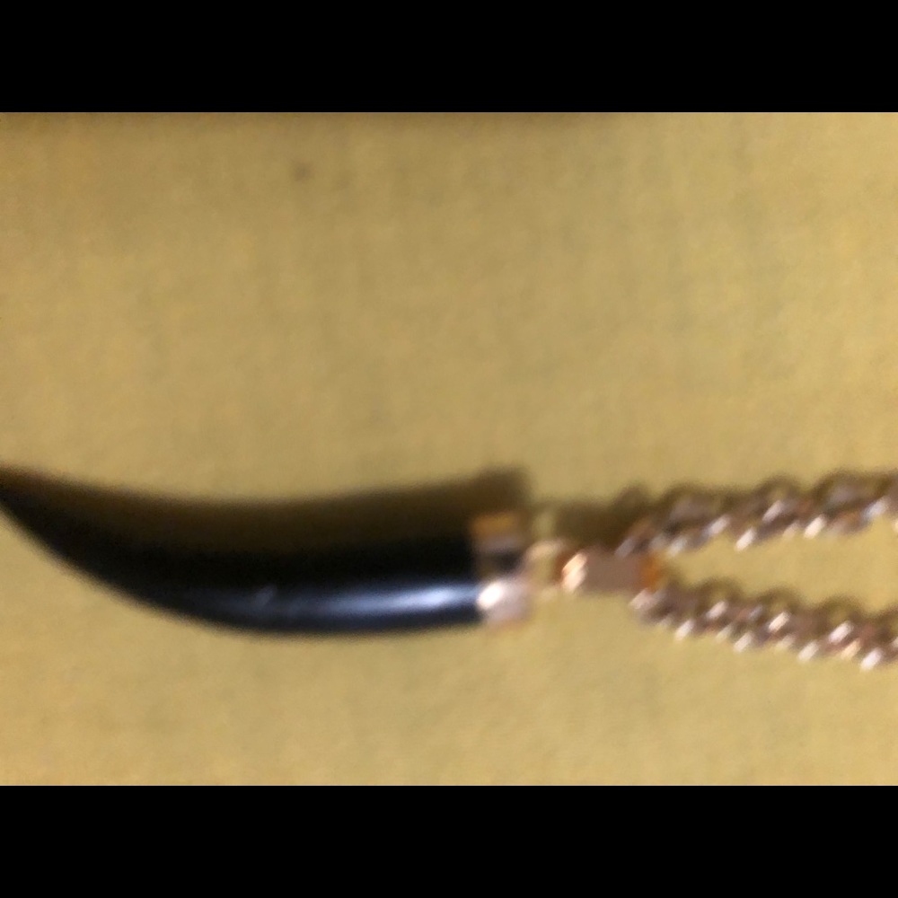 Brass and onyx horn pendant